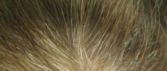 Натуральная краска для волос, закрашивающая седину, или безопасный подход к красоте волос